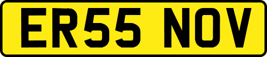 ER55NOV