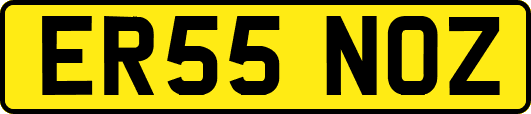 ER55NOZ