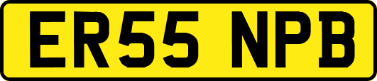 ER55NPB