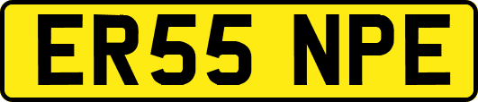 ER55NPE