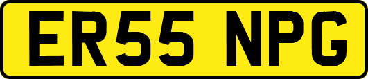 ER55NPG