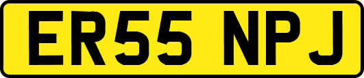 ER55NPJ