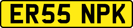 ER55NPK