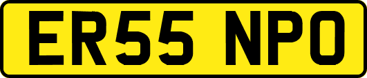 ER55NPO