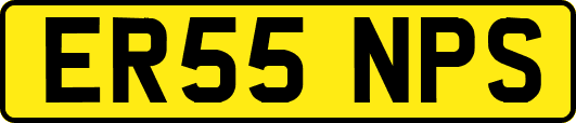 ER55NPS