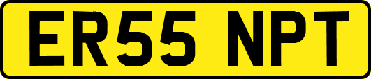 ER55NPT