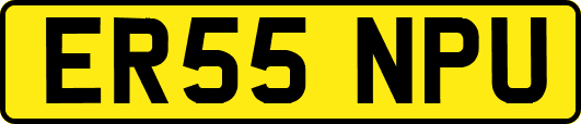 ER55NPU
