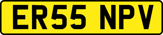 ER55NPV