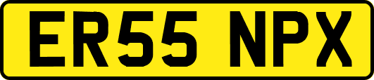 ER55NPX