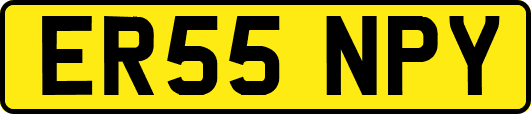 ER55NPY