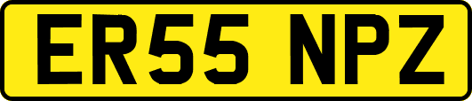 ER55NPZ