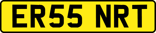 ER55NRT