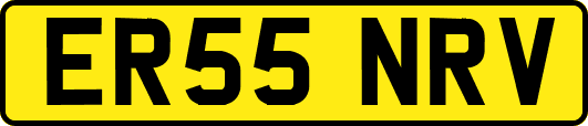 ER55NRV