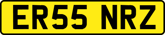 ER55NRZ