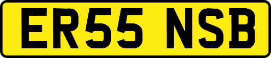 ER55NSB