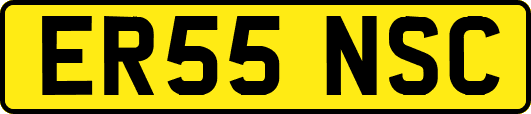ER55NSC