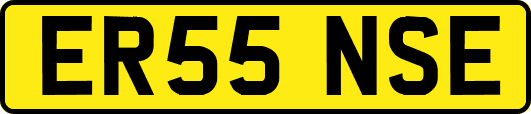 ER55NSE