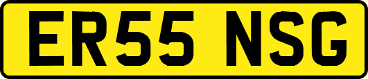 ER55NSG