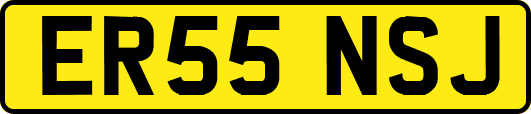 ER55NSJ