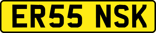 ER55NSK