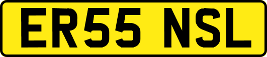 ER55NSL