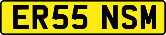 ER55NSM