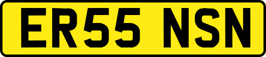 ER55NSN