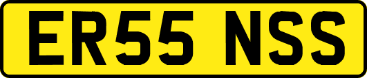 ER55NSS