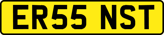 ER55NST