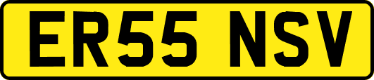 ER55NSV