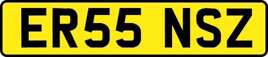 ER55NSZ