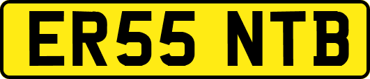 ER55NTB