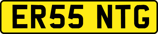 ER55NTG