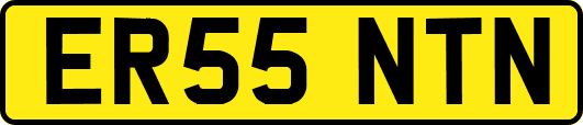 ER55NTN