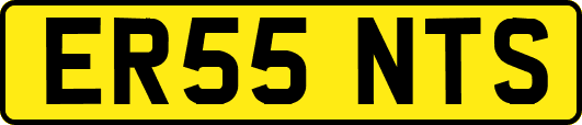 ER55NTS