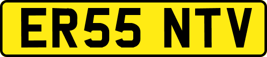 ER55NTV