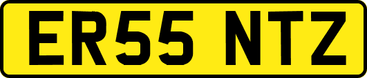 ER55NTZ