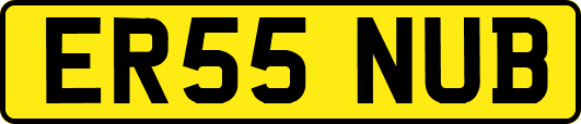 ER55NUB