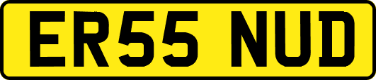ER55NUD