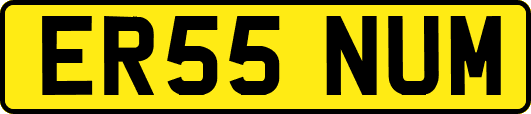 ER55NUM