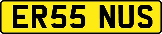 ER55NUS