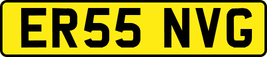 ER55NVG