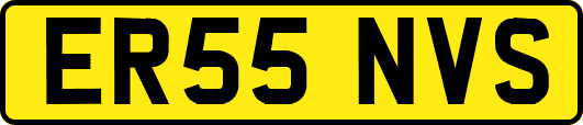 ER55NVS