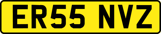ER55NVZ