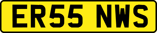 ER55NWS
