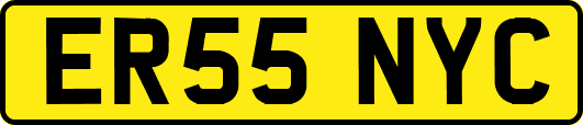 ER55NYC