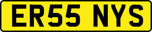 ER55NYS