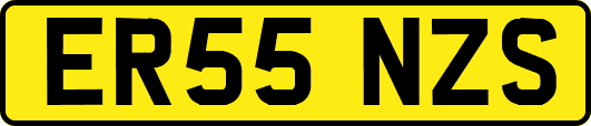 ER55NZS