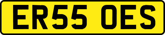 ER55OES