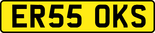 ER55OKS